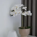 Hotel Am Sueltebrunnen 3*