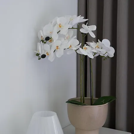 Maison d'hôtes Am Sueltebrunnen 3*