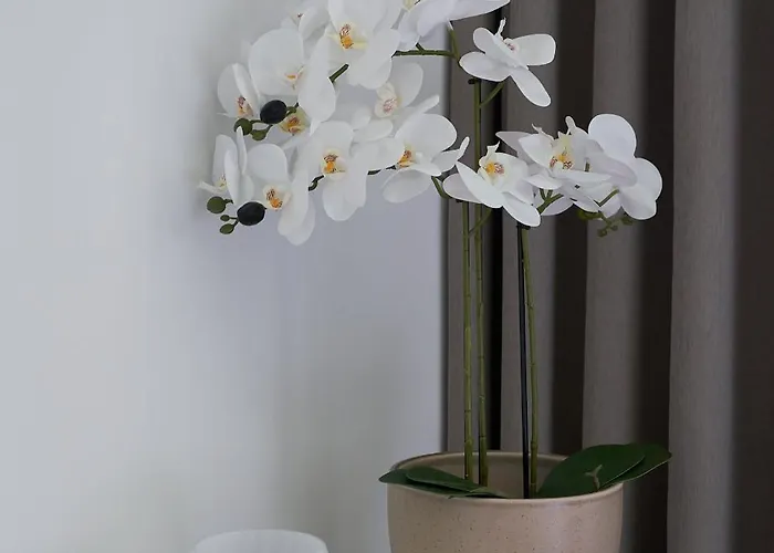 Gæstehus Am Sueltebrunnen 3*